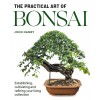 Practical Art of Bonsai : Establishing, cultivating and refining your living collection (Paperback)