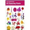 The Classification Of Flowering Plants 3 Vols